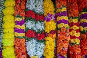 4a) Pushpa-Alankara Seva 2